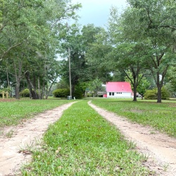 Park entry road leading to bulb house