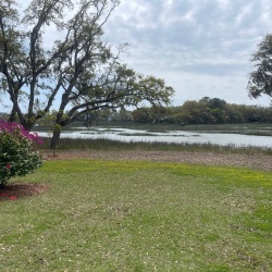 View of the marsh