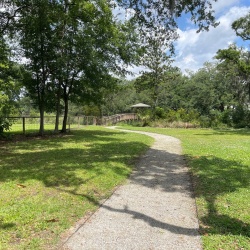 View into the park