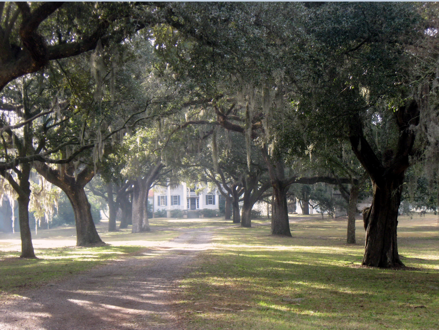 McLeod Plantation