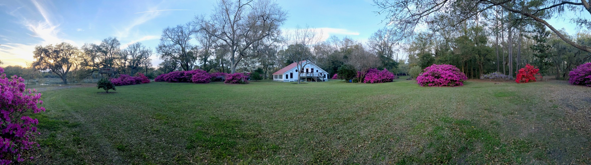 Panoramic view of Mill Point Park