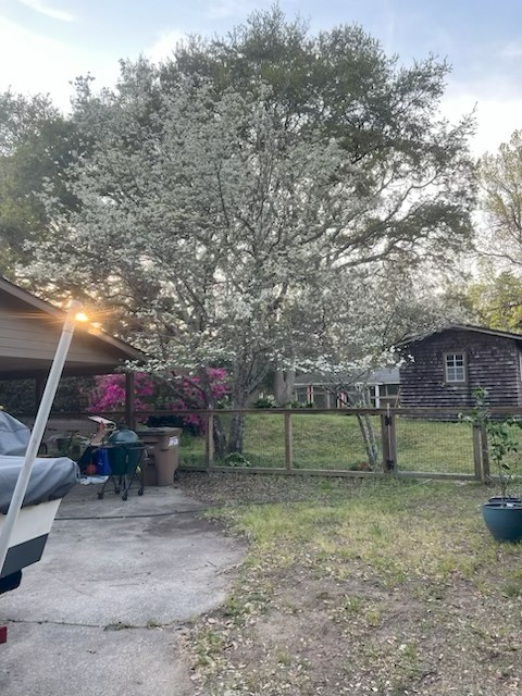 Dogwood Tree on Ft. Sumter Drive