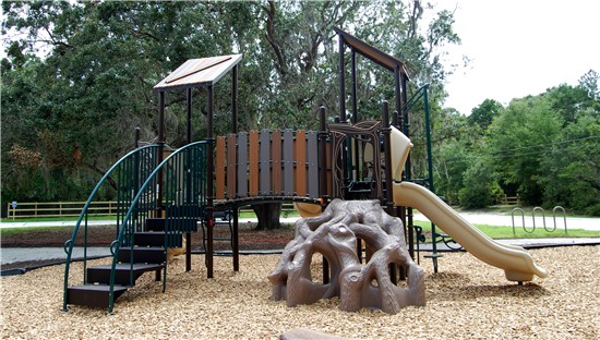 Pinckney Park Opening Playground